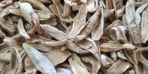 Sun Dried Mango Slice