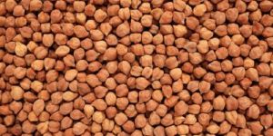 Chick Peas