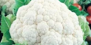 Fresh Cauliflower