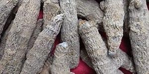 Unpolished Turmeric Finger