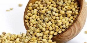 Whole Coriander Seed