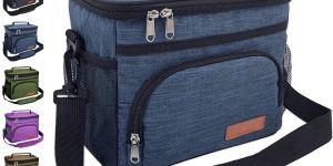 Multi Compartment Insulated Lunch Bag