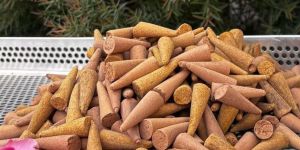 Bambooless Dhoop Cones