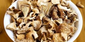 a Grade Dried Oyster Mushroom