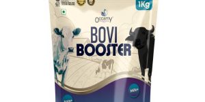 buvi booster cattle feed