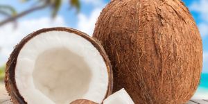 Coconut