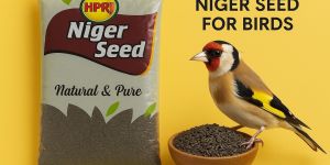 1kg Niger Seeds