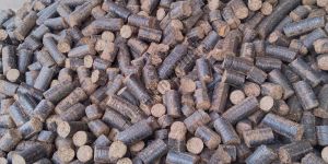Sawdust Biomass Briquette
