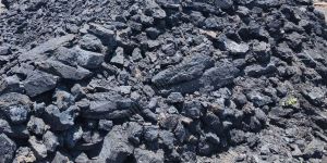Thangadh Carbonaceous Shale Coal