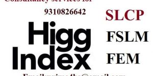 Slcp, Fslm, Higg Index Audit Consulting Services
