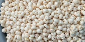 Premium Hand Picked Makhana (5+ (16mm +) to 6+ (19.5 Mm+)