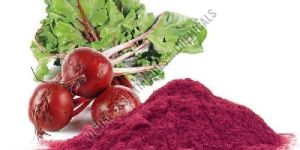 Spray Dried Beetroot Powder