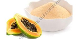 Spray Dried Papaya Powder