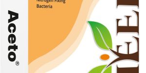 250gm Aceto Nitrogen Fixing Bio Fertilizer