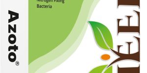 250gm Azoto Nitrogen Fixing Bio Fertilizer