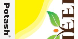 250gm Potash Mobilizing Bio Fertilizer