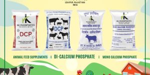 Di Calcium Phosphate