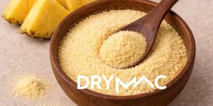 Spray Dried Pineapple Powder