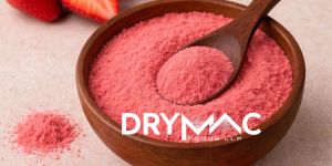 Spray Dried Strawberry Juice Powder