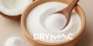 Coconut Milk Powder Vegan /Non-Dairy / Without Sodium Casinate