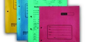 Hawamahal Two Piece Cobra File