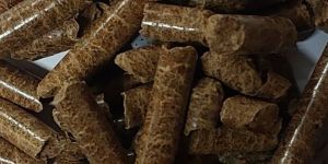 Biomass Pellet