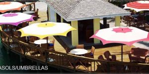 Garden Parasol Umbrella