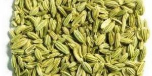 Singapore Fennel Seed