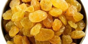 Thompson Seedless Golden Raisin