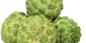 Fresh Custard Apple