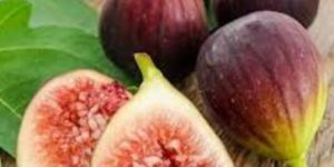 Fresh Soft Figs
