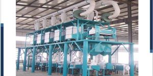 Wheat Flour Production Plant