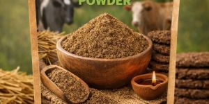Cow Dung Powder