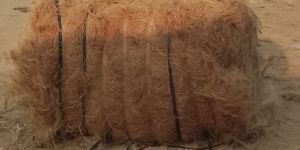 Coconut Coir