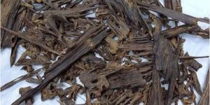 Assam Agarwood Chips