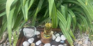 Meditation Essential Oil Blend