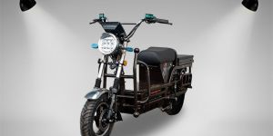 Trijoshh Vajra Electric Cargo Loader