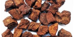 Roasted Chicory Cubes