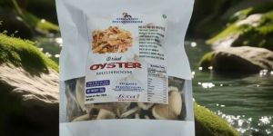 50gm Dried Oyster Mushroom