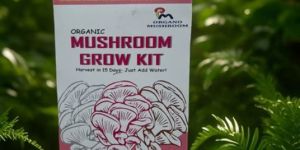 Organic Mushroom Growing Kit