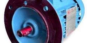 2 Pole Flange Mounting Motor