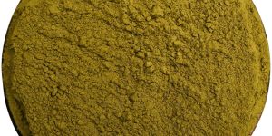 Rosemary Leaves Powder