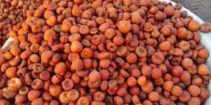 Lali Dried Betel Nut