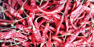 Dry Red Chilli