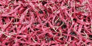 Syngenta 5531 Dried Red Chilli