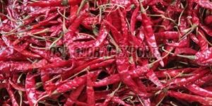 Teja S17 Dried Red Chilli