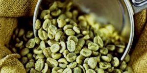 Green Coffee Beans