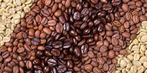 Roasted Coffee Beans