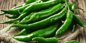 G4 Green Chilli