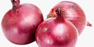 Fresh Red Onion